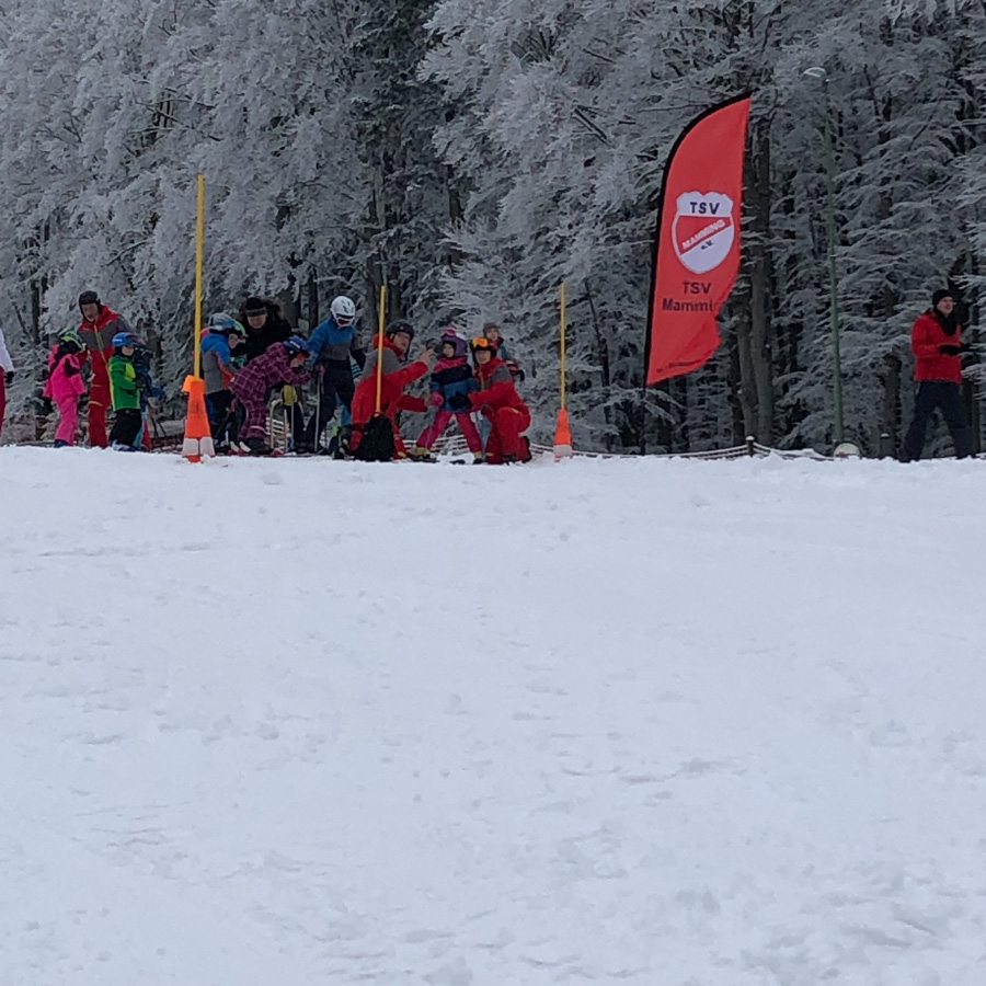 Kinder Ski Kurs 2018_114