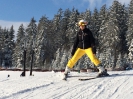 Kinder Ski Kurs 2015_100