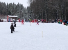 Kinder Ski Kurs 2017_113
