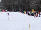 Kinder Ski Kurs 2017_114