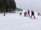 Kinder Ski Kurs 2017_11