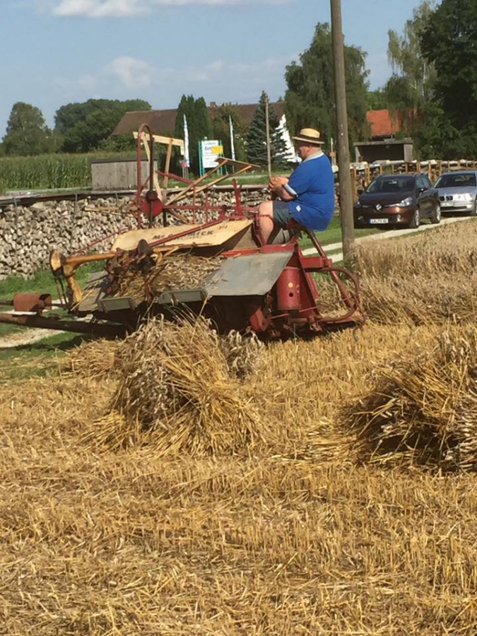 Arntbier 2016_6