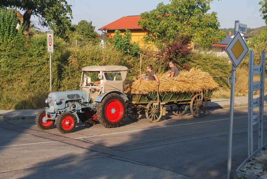 Arntbier 2015 mähen_84