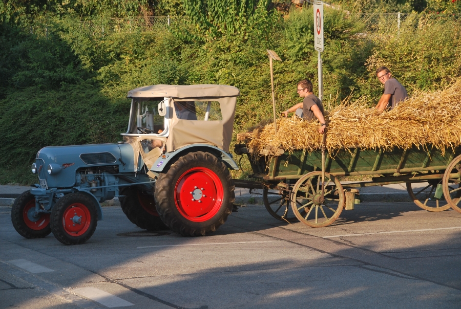 Arntbier 2015 mähen_85