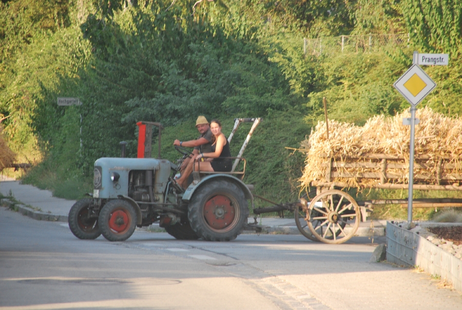 Arntbier 2015 mähen_90